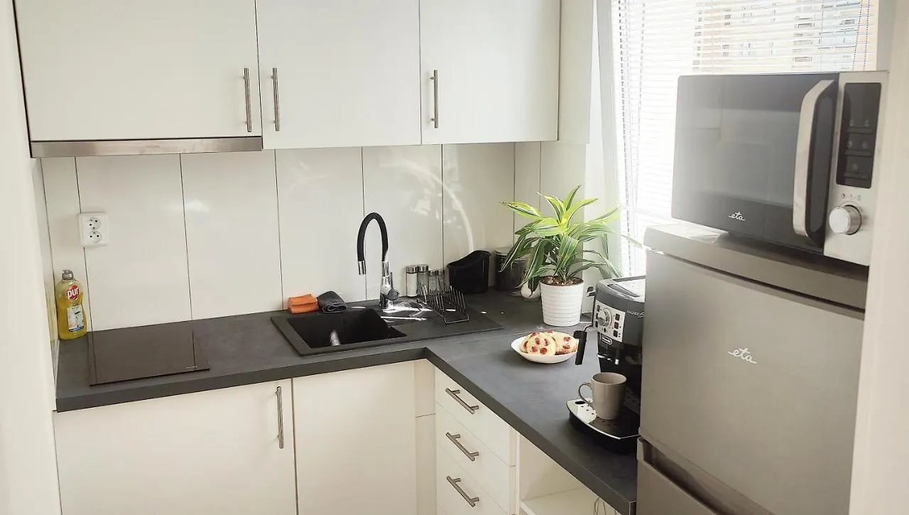King Size Sunny Home 19 Minutes To Center Prague Apartment